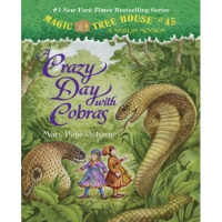Image of a Crazy Day with Cobras